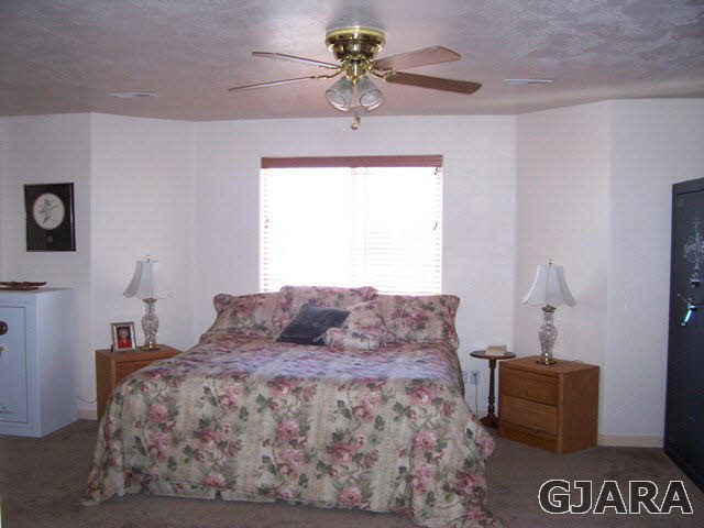 20258 Fox Ridge Drive Austin, CO 81410 - Photo 6 of 6 a bedroom with a bed and a chandelier
