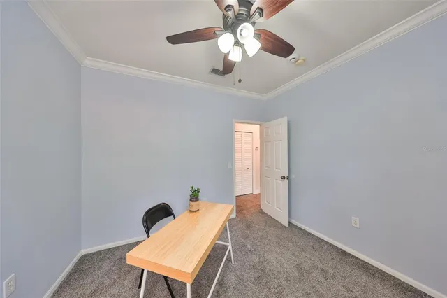 a room with chandelier fan and a rug