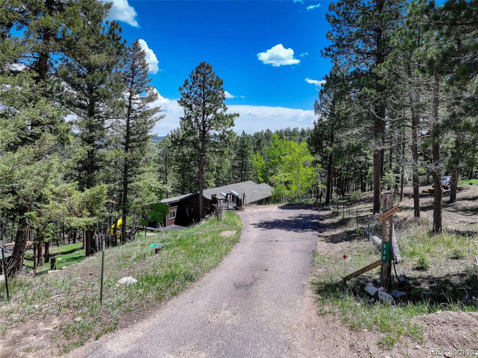 539 South Random Road Bailey, CO 80421 - Photo 2 of 46