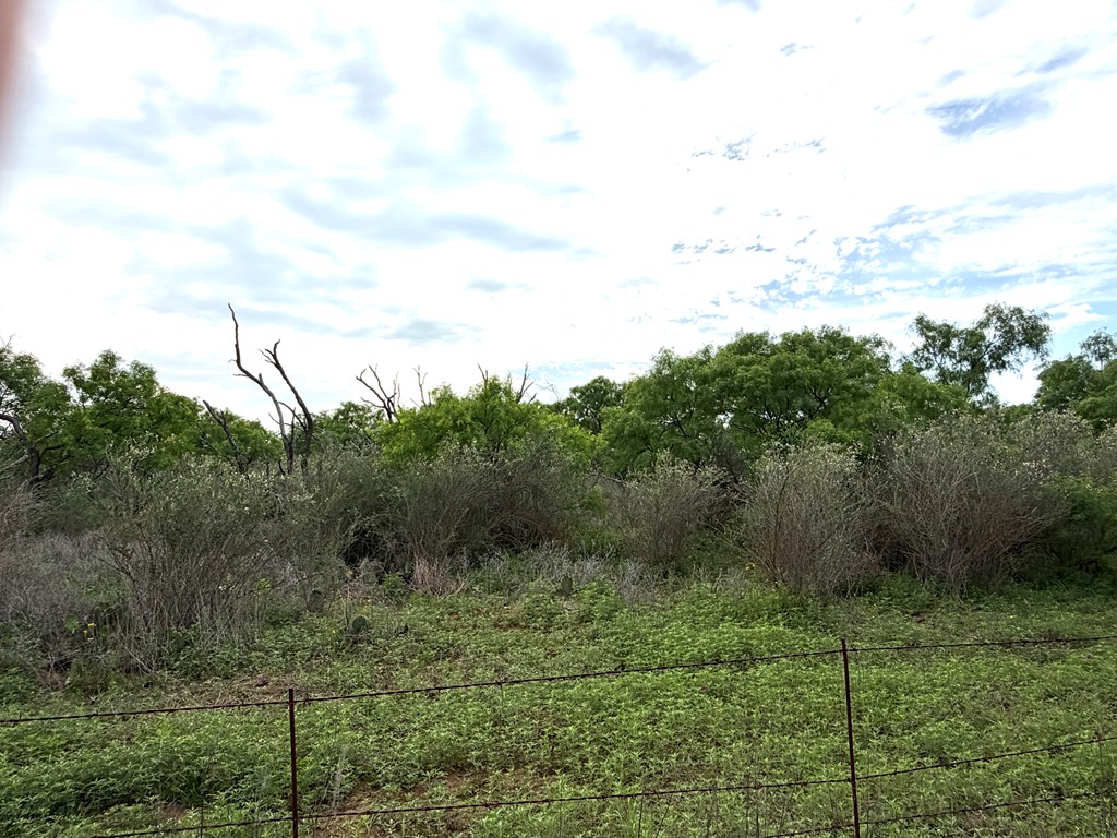 406 Airport Road Mason, TX 76856 - Photo 3 of 11