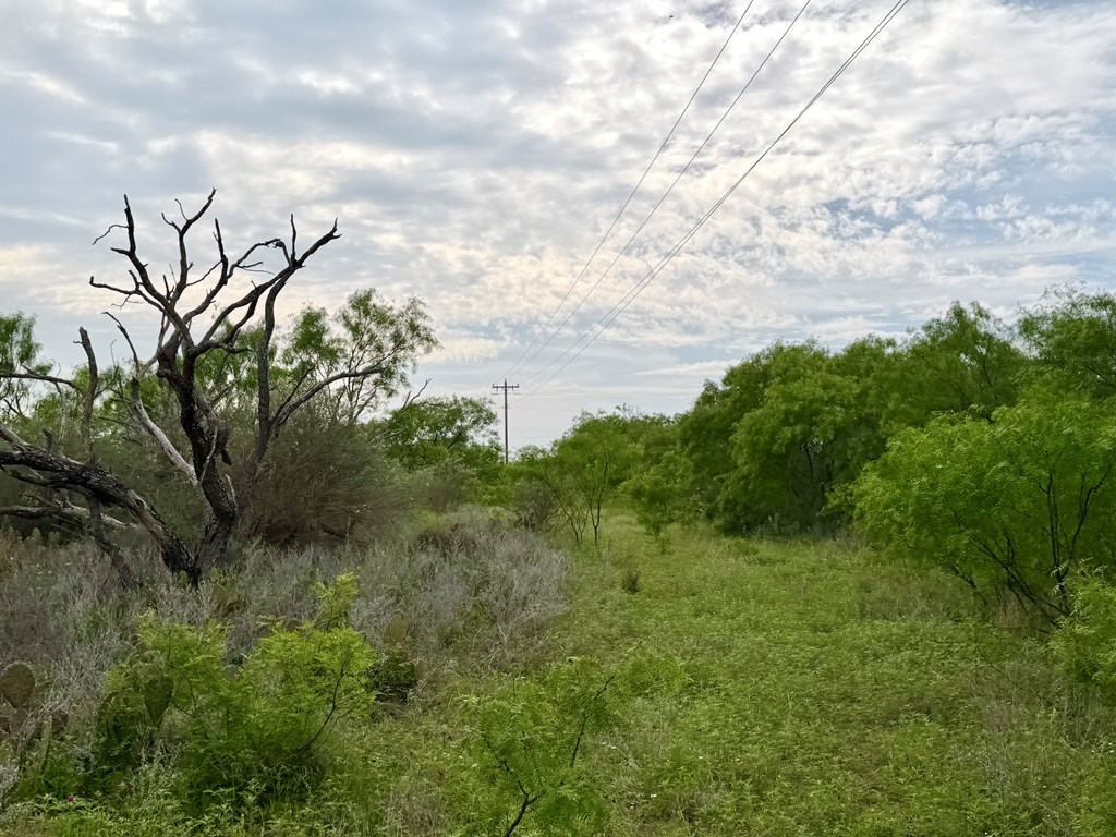406 Airport Road Mason, TX 76856 - Photo 4 of 11