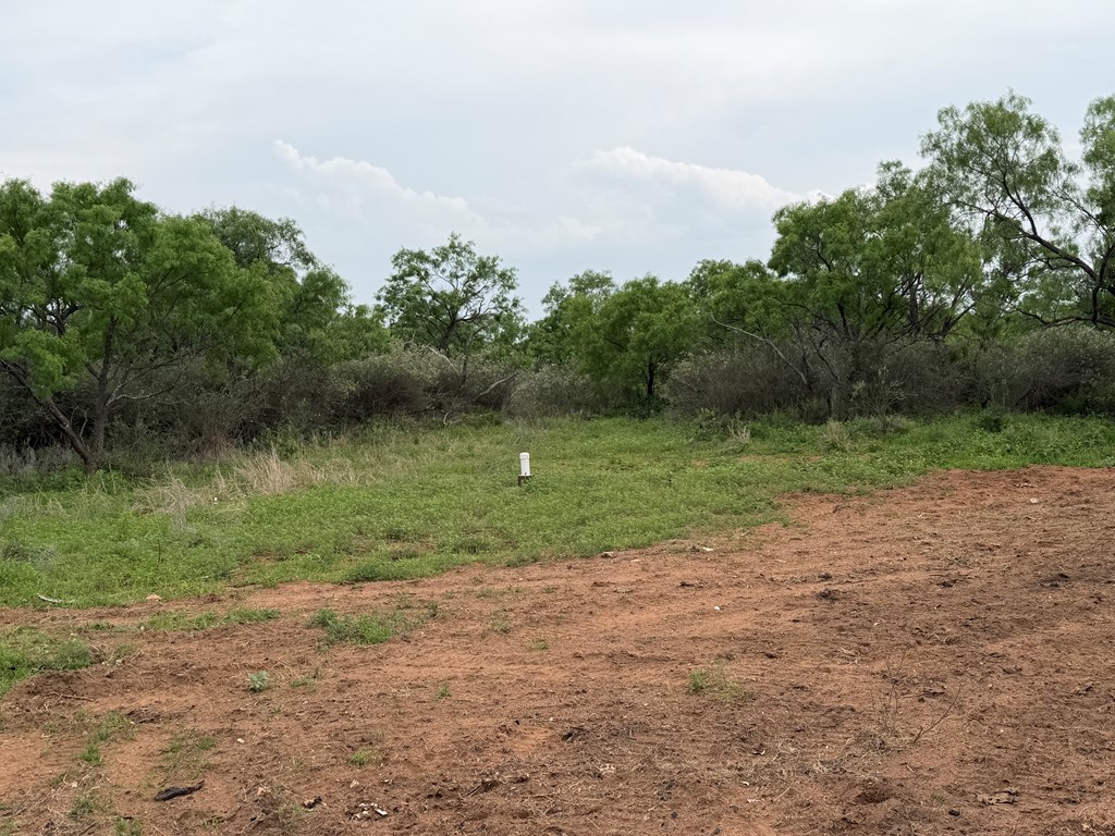 406 Airport Road Mason, TX 76856 - Photo 7 of 11