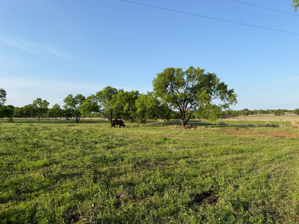 406 Airport Road Mason, TX 76856 - Photo 9 of 11