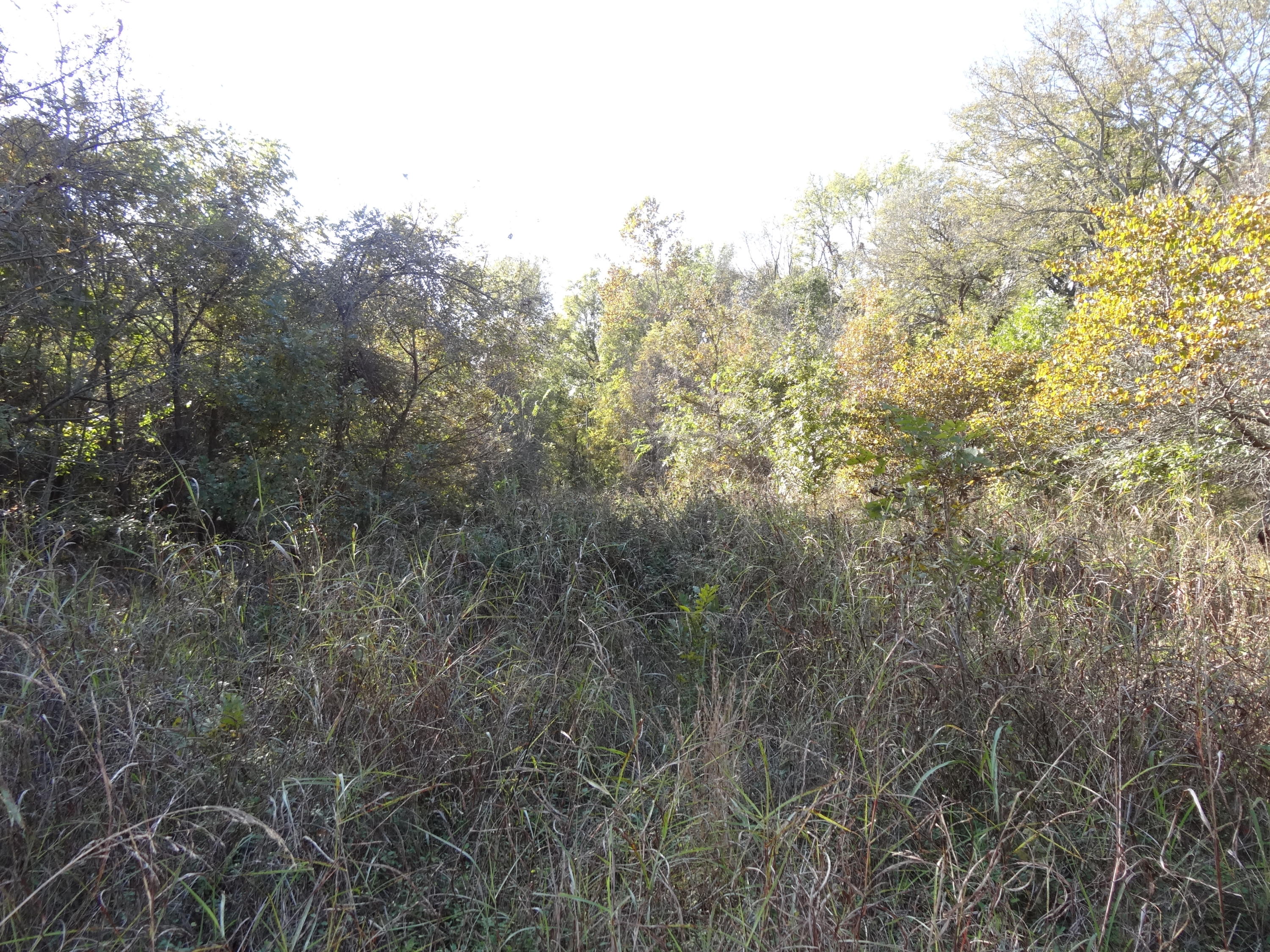 6 R R Wann, OK 74083 - Photo 18 of 48 Gallery Image 18