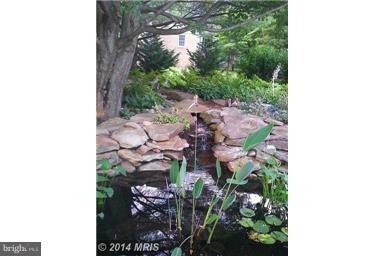 13809 Lewisdale Road Clarksburg, MD 20871 - Photo 22 of 28 Lilly Pond