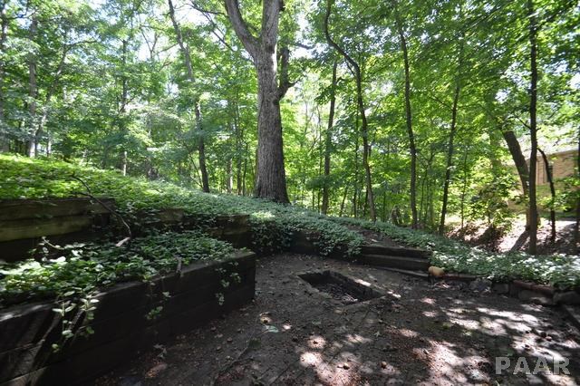 12210 Wood Ridge Court Dunlap, IL 61525 - Photo 35 of 35 Gallery Image 35