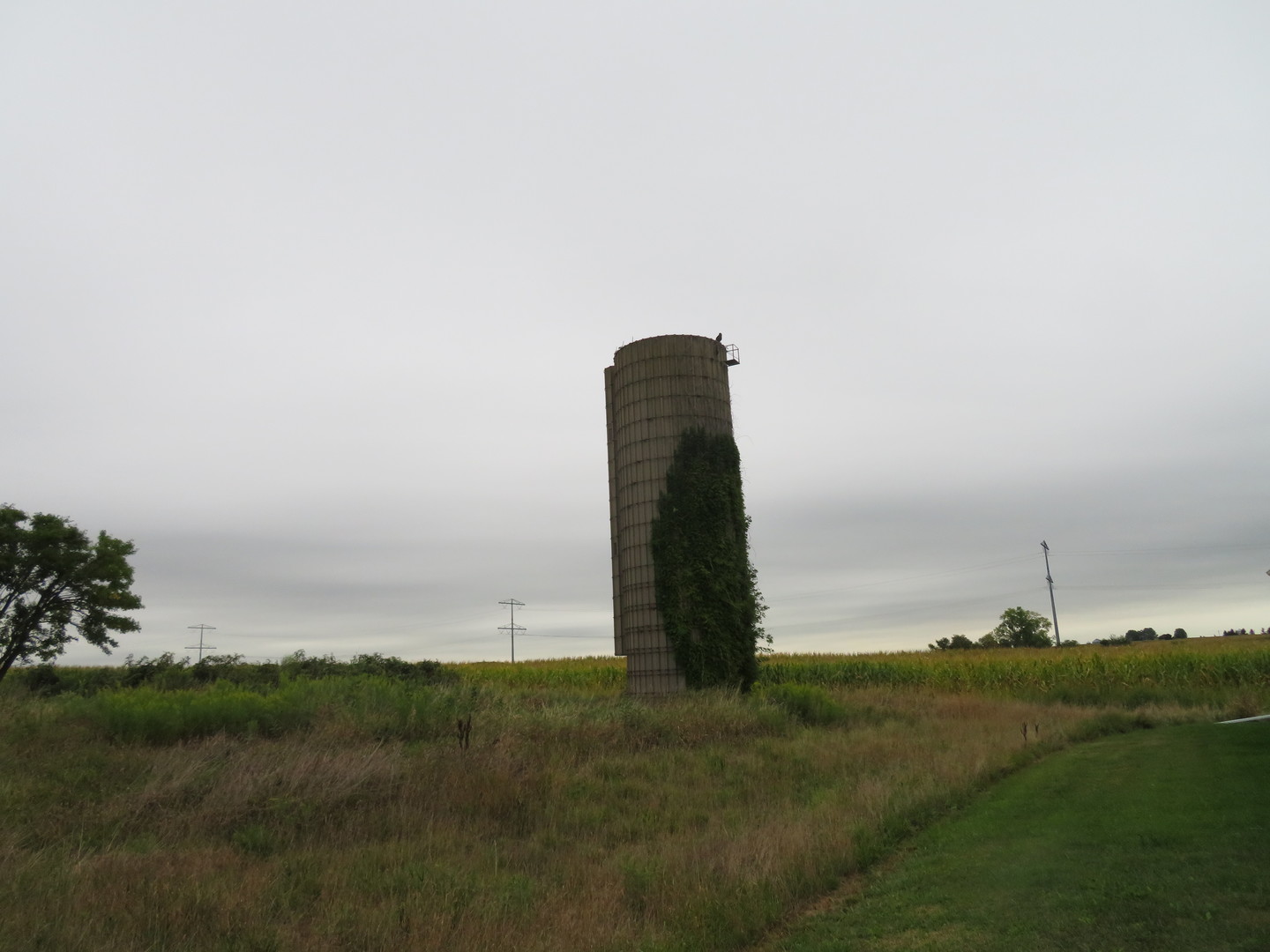 2821 North 2850th Road Seneca, IL 61360 - Photo 10 of 23 Gallery Image 10