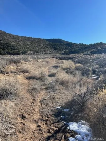 a view of a dry yard