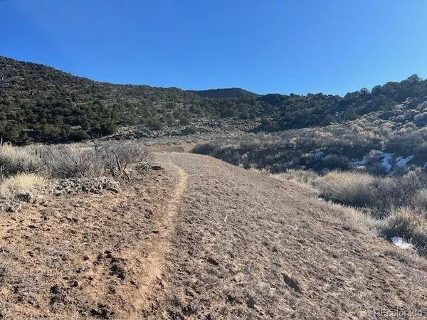 a view of a dry space with lots of bushes