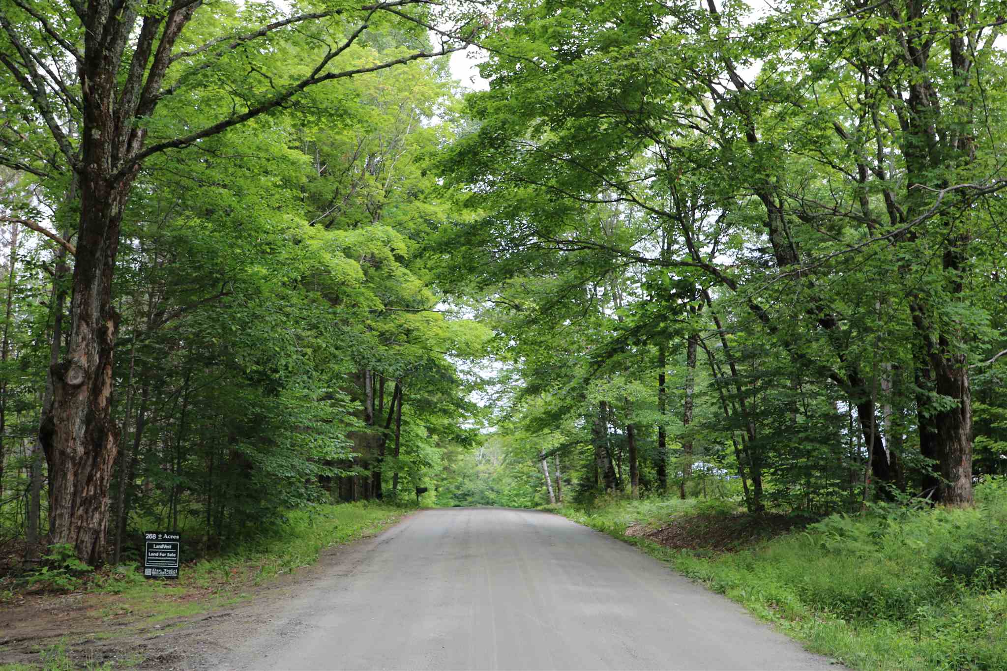 0 Braintree Hill Road Braintree, VT 05060 - Photo 3 of 10