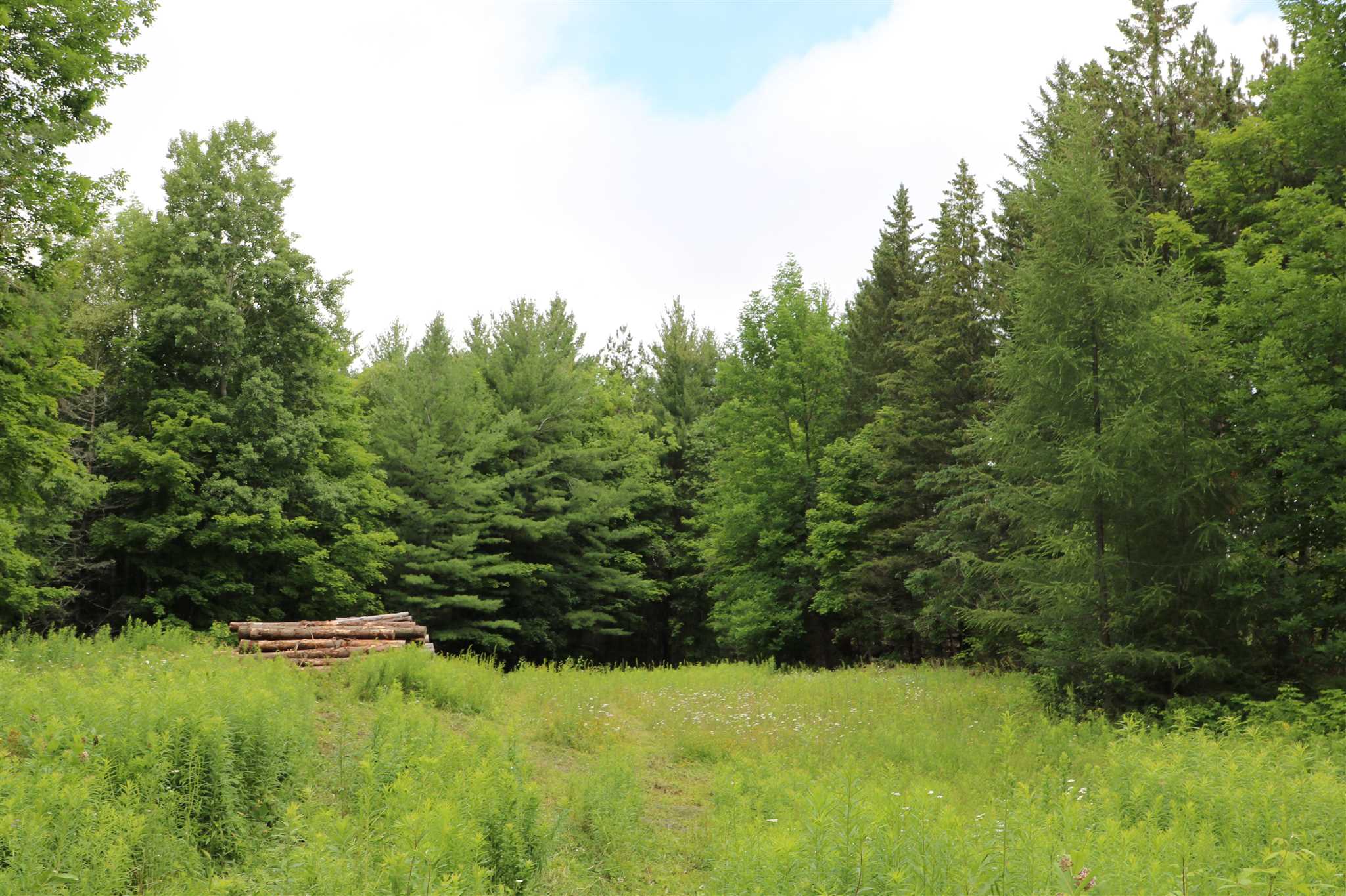 0 Braintree Hill Road Braintree, VT 05060 - Photo 4 of 10