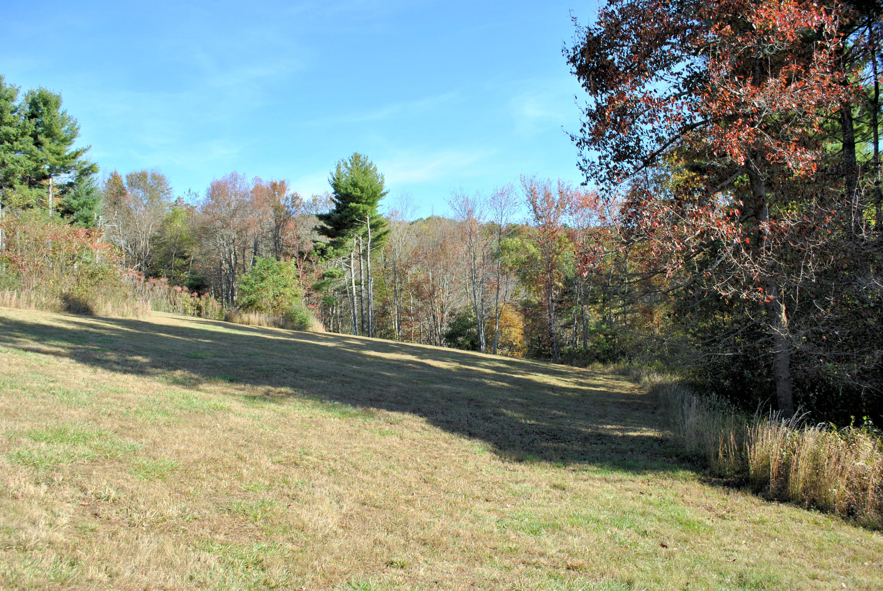 775 Weeks Road Northwest Floyd, VA 24091 - Photo 49 of 52 Field On 2nd Lot