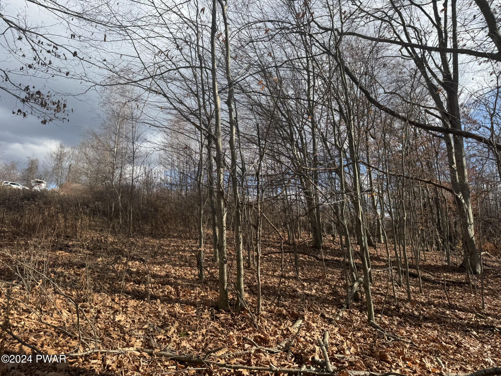 402 Jubinsky Road Waymart, PA 18472 - Photo 12 of 30 9.5 Acres Fields/Wooded