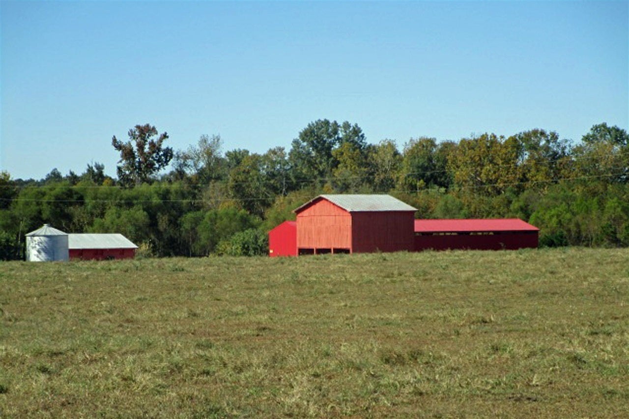 144 Mary Adams Road Franklin, KY 42134 - Photo 11 of 33 Gallery Image 11