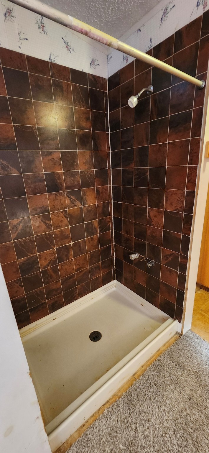 14 County Road 2802 Cleveland, TX 77327 - Photo 13 of 15 Primary Shower