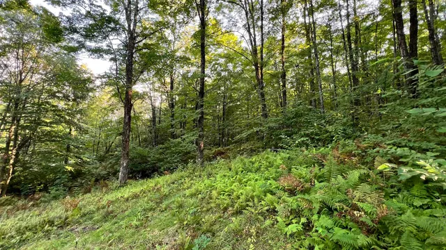 $169,000 | 2075 Codding Hollow Road, Johnson, VT 05656