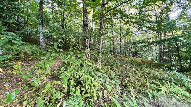 $169,000 | 2075 Codding Hollow Road, Johnson, VT 05656