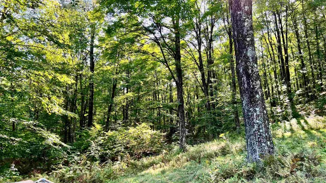 $169,000 | 2075 Codding Hollow Road, Johnson, VT 05656