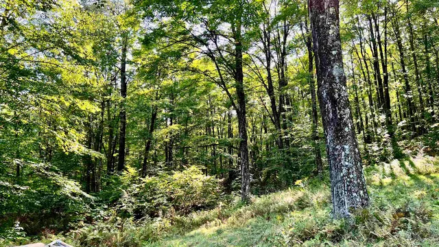 $169,000 | 2075 Codding Hollow Road, Johnson, VT 05656