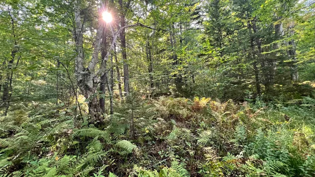 $169,000 | 2075 Codding Hollow Road, Johnson, VT 05656