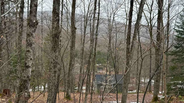 $169,000 | 2075 Codding Hollow Road, Johnson, VT 05656