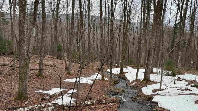 $169,000 | 2075 Codding Hollow Road, Johnson, VT 05656