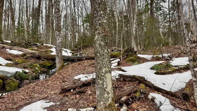 $169,000 | 2075 Codding Hollow Road, Johnson, VT 05656