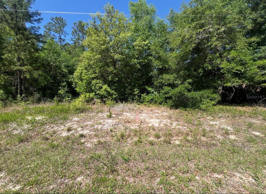 Tbd Locust Course Lane Ocala, FL 34472 - Photo 4 of 6