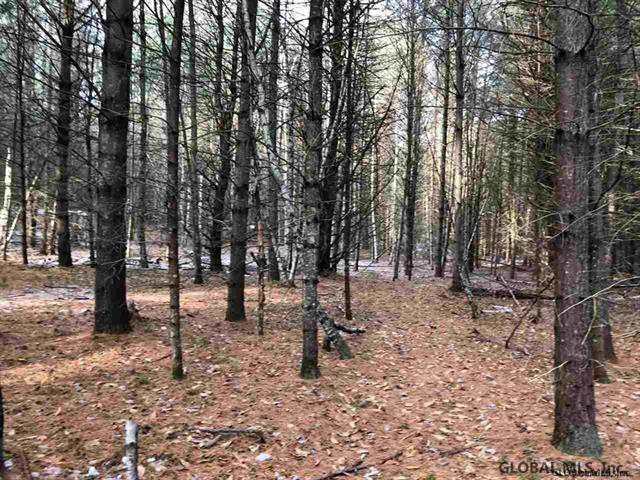 Partridge Road Northville, NY 12134 - Photo 1 of 1 Photo 1