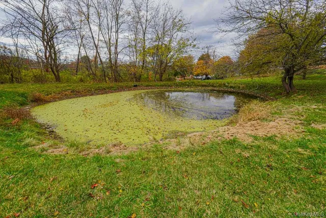 a view of a lake with a yard
