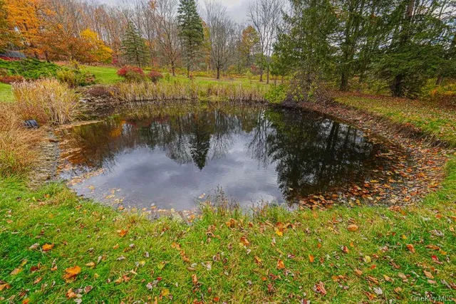 a view of a green field with clear sky