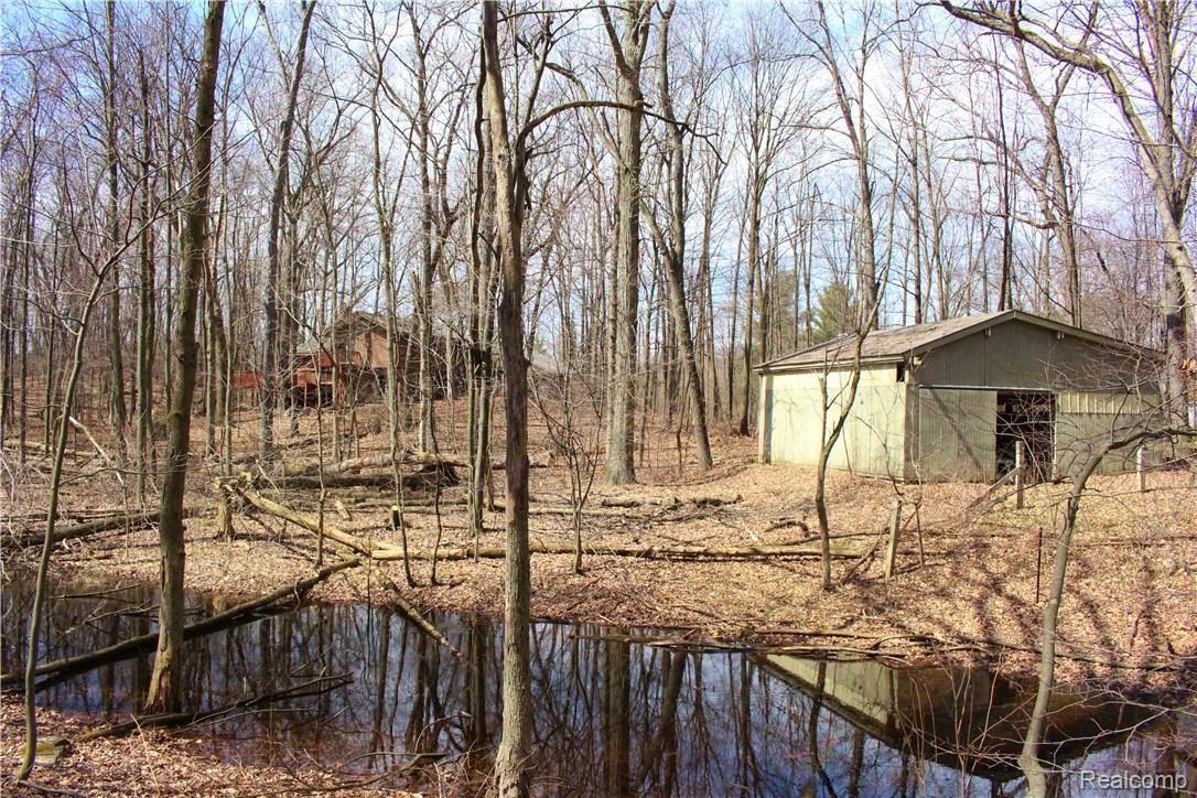 9970 Ellis Road Clarkston, MI 48348 - Photo 38 of 38 IMG_0790.JPG