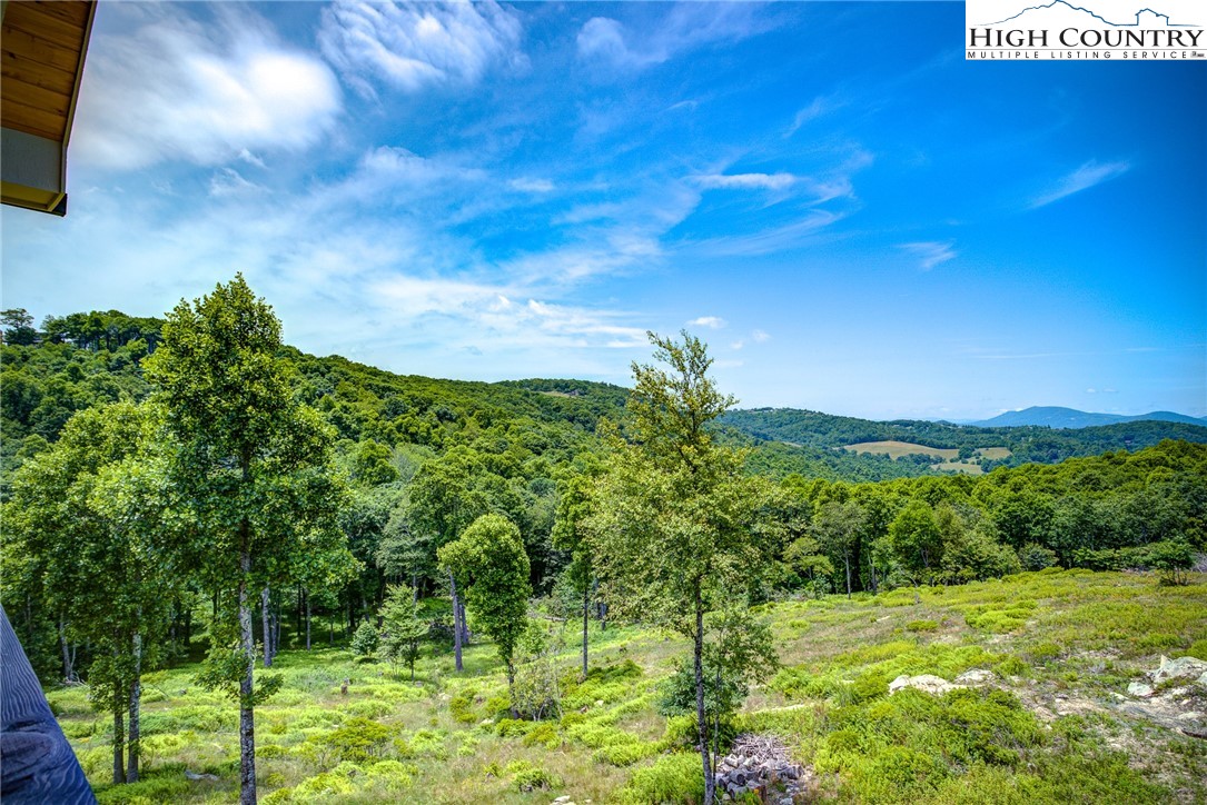 539 State View Road Boone, NC 28607 - Photo 11 of 50 Gallery Image 11