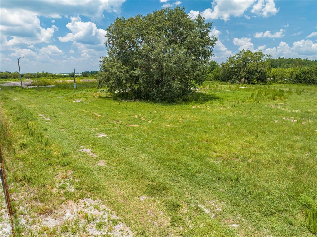5420 Holopaw Road St. Cloud, FL 34773 - Photo 14 of 16 a view of a field with an trees