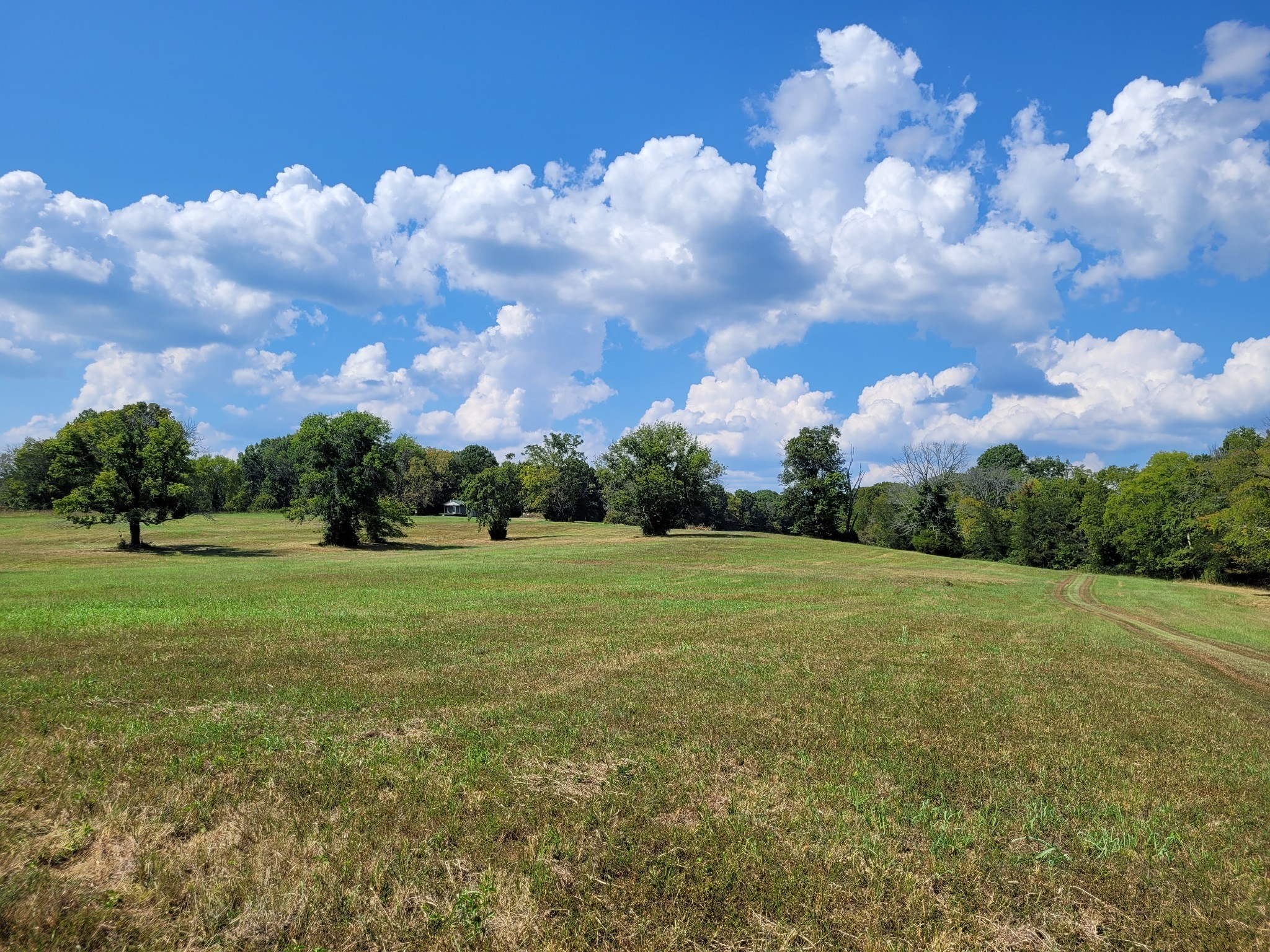 1289 Old Hopewell Road Bethpage, TN 37022 - Photo 14 of 42 Gallery Image 14