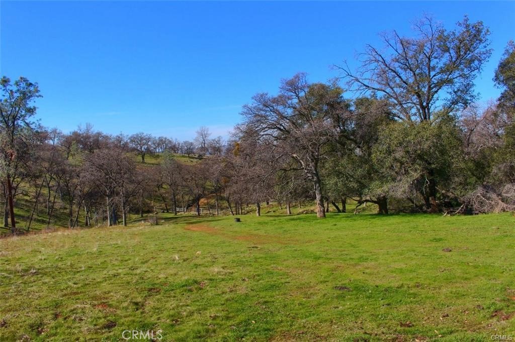 160 Cotton Creek Road Mariposa, CA 95338 - Photo 18 of 22 a view of a park with large trees