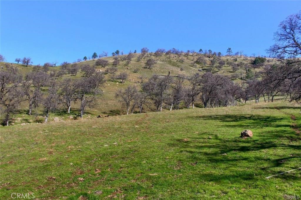 160 Cotton Creek Road Mariposa, CA 95338 - Photo 19 of 22 a view of a field with an trees