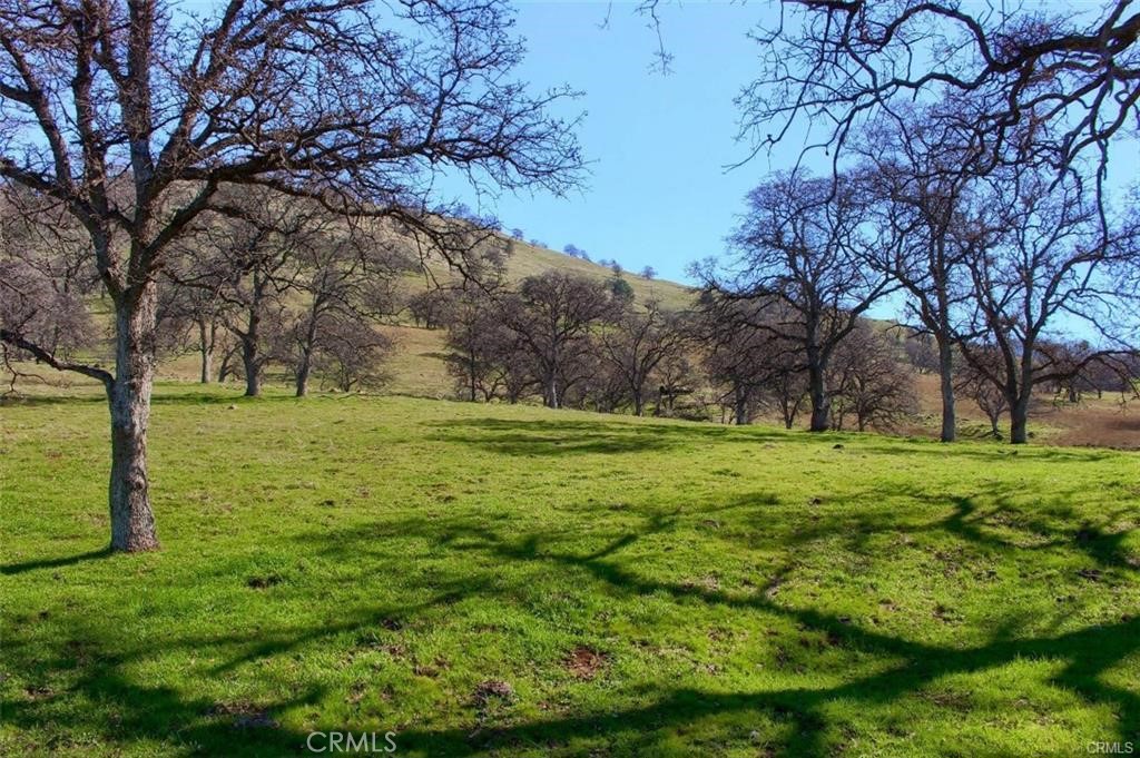 160 Cotton Creek Road Mariposa, CA 95338 - Photo 20 of 22 a huge green field with lots of trees