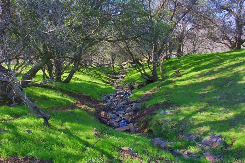 160 Cotton Creek Road Mariposa, CA 95338 - Photo 2 of 22 a view of a garden