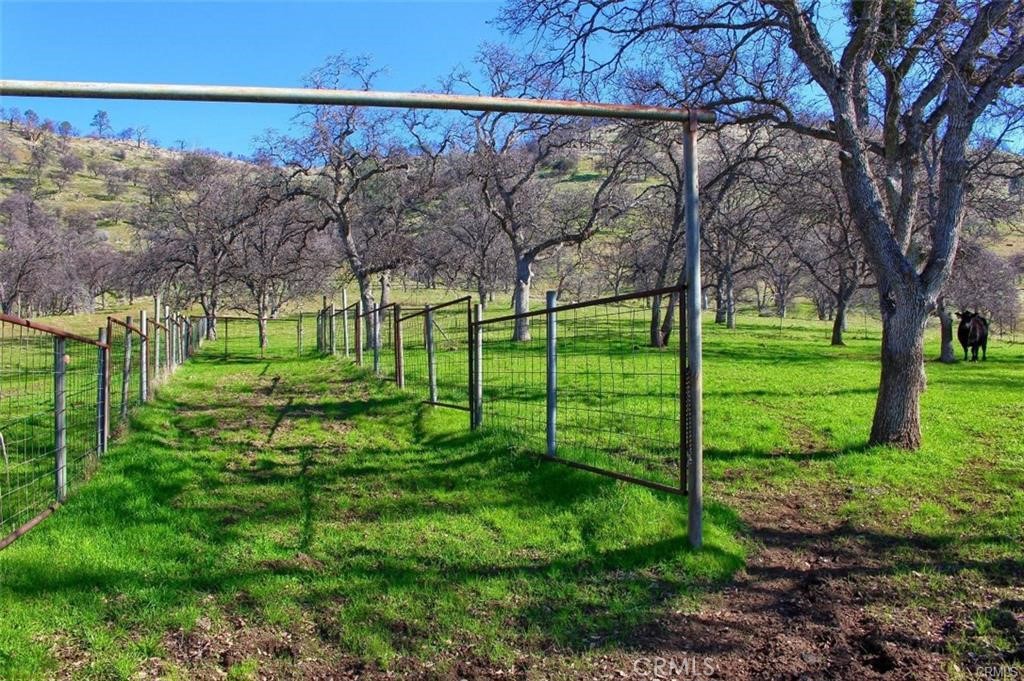 160 Cotton Creek Road Mariposa, CA 95338 - Photo 5 of 22 a view of a backyard with a garden