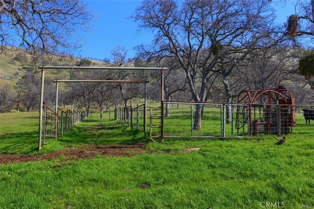 160 Cotton Creek Road Mariposa, CA 95338 - Photo 6 of 22 a view of a park with a big yard and large trees