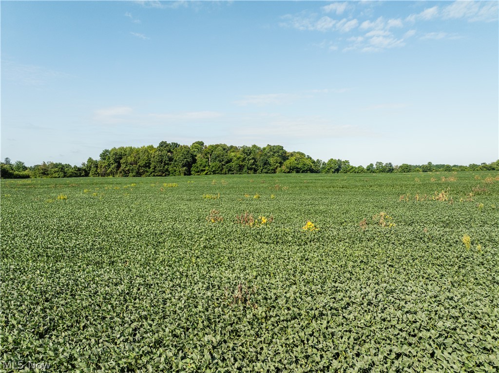 Sycamore Road Centerburg, OH 43011 - Photo 1 of 50 Gallery Image 1