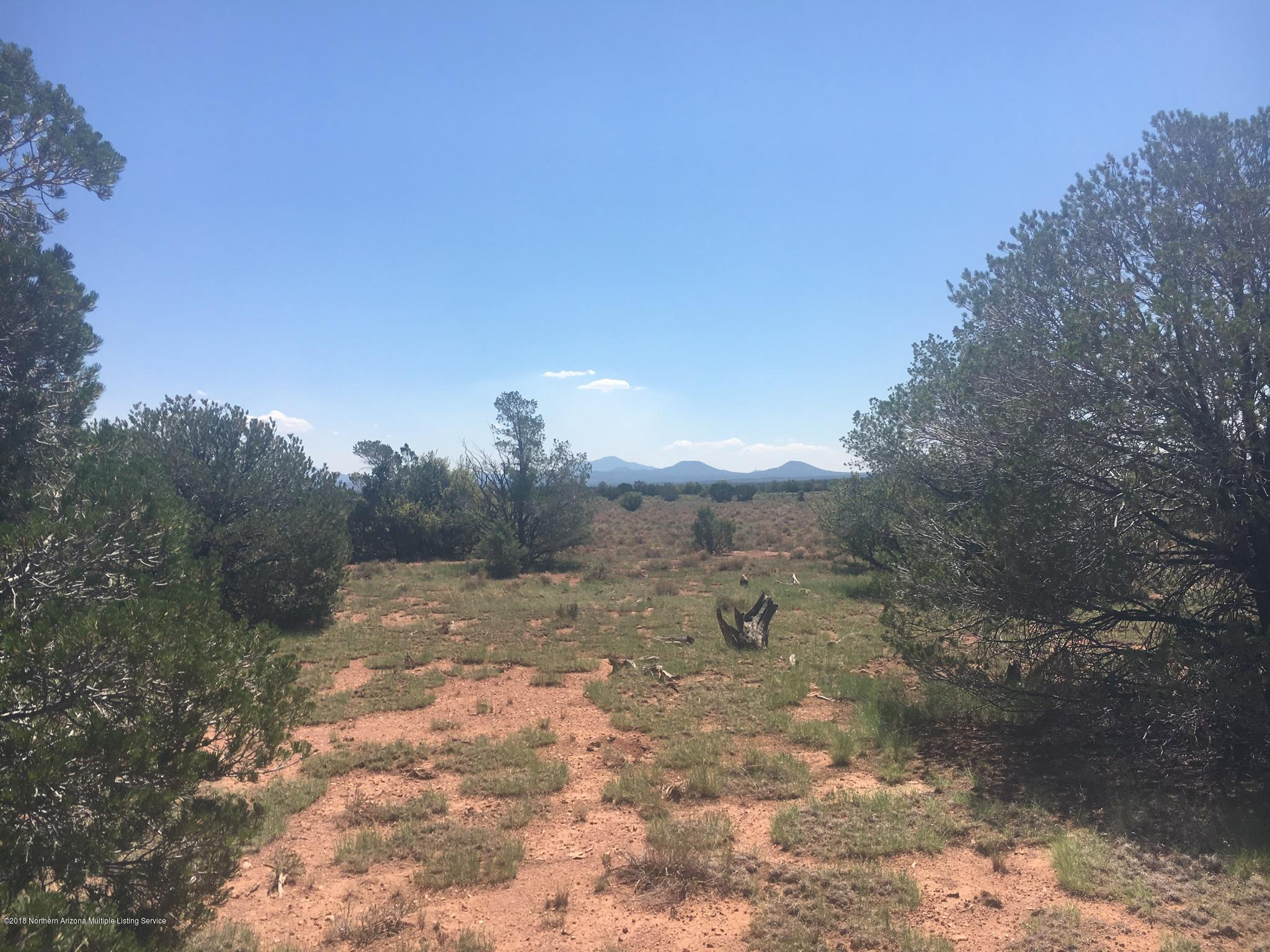 9207 West Red Bluff Road Williams, AZ 86046 - Photo 1 of 11 D61C6B9B-D7C2-45DE-B46A-B366F67FADC7