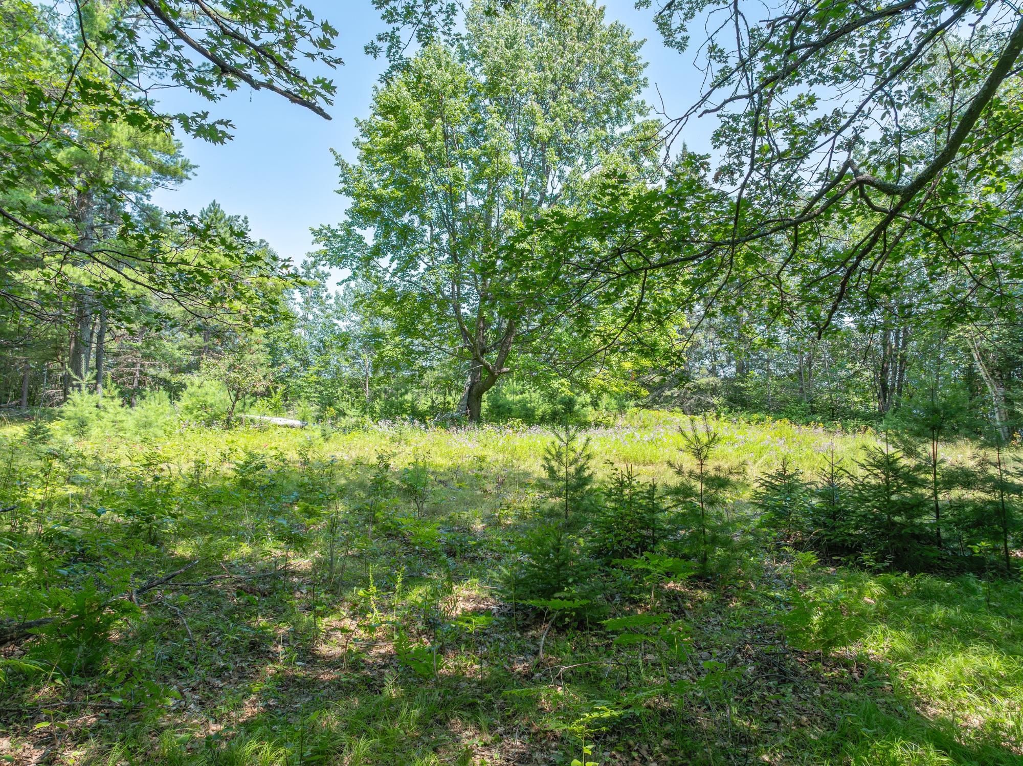 7661 Emerson Road Lake Tomahawk, WI 54539 - Photo 9 of 22 Gallery Image 9