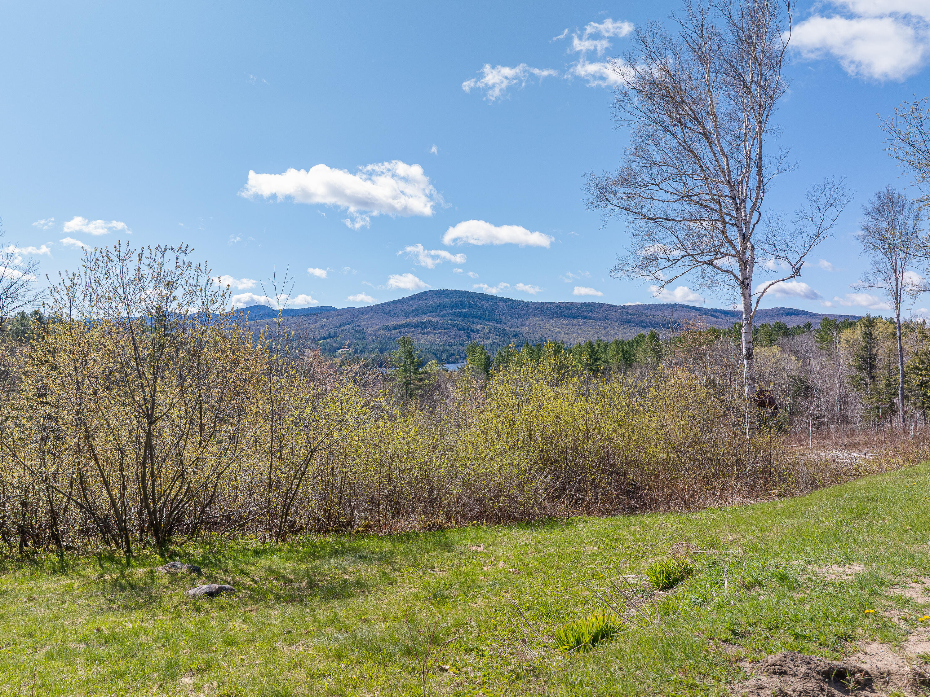 49 Clement Road Long Lake, NY 12847 - Photo 8 of 29 F4A898B6-2D5B-44C7-A31D-9B9711DDA324