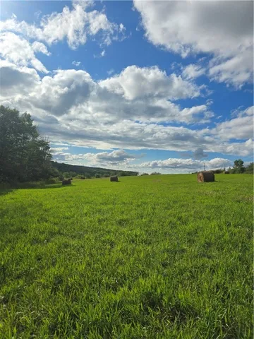 $53,500 | Potter Road, Greenwood, NY 14839