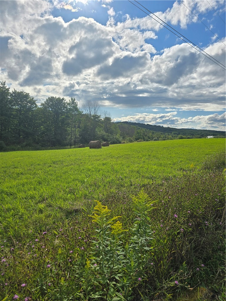 Potter Road Greenwood, NY 14839 - Photo 11 of 26