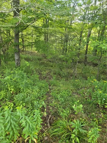 $53,500 | Potter Road, Greenwood, NY 14839