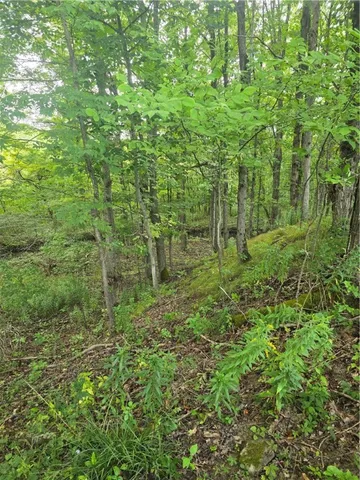 $53,500 | Potter Road, Greenwood, NY 14839