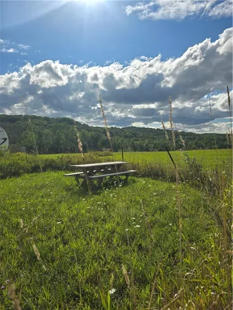 $53,500 | Potter Road, Greenwood, NY 14839